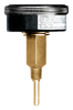 0-75 PSI  - 2-1/2" Dry - Steel Case - Brass Center Back Mount - Temperature & PSI Tridicator  PG-75/320TR25-1