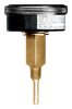 0-75 PSI  - 2-1/2" Dry - Steel Case - Brass Center Back Mount - Temperature & PSI Tridicator  PG-75/320TR25-1.6
