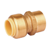 1/2 x 1/2" Bite-Force Adapter  BF66-10D