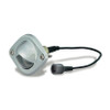 Courtesy Lamp - Clear  60251