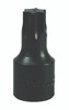3/8" Drive x T-55 Torx Bit Socket   26650