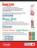 Citrus Power Air Freshener 600g Aerosol  42521