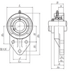 30mm Cast Iron Three Bolt Flanged Hanger Block w/Wide Set Screw Insert Bearing - Standard Duty  UCFH206D1