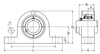 2" Cast Steel Two Bolt Pillow Block w/Wide Set Screw Insert Bearing - Standard Duty  UCPG210-200D1