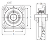 Cast Iron Four Bolt Flange Block w/Taper Bore Insert Bearing - Standard Duty  UKF208D1