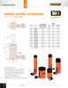 2" Stroke 10 Metric Ton Single Acting Cylinder  033010