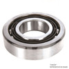 25 x 62 x 17mm Single Row Angular Contact Ball Bearing   7305 BTN1/CN