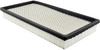 Panel Air Element  PA2163