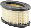 Oval Air Element  PA2258