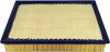 Panel Air Element  PA4390