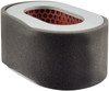 Oblong Air Element with Foam Wrap  PA4886