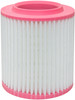 Air Element  PA10119