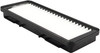 Panel Air Element  PA10261
