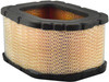 Air Element  PA30030