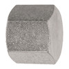 1/4" Steel Female NPT Hex Cap   0800-04