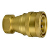3/4 x 3/4" Brass ISO "B" Coupler - Female NPT  C101B-12