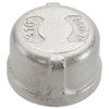 1-1/2" Stainless Steel 316 Female NPT Cap  G0800SS-150