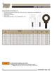 1/4 x 1" Forged Machined Eye Bolt   2975 1010
