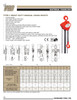 1/2T @ w/o Lift Heavy Duty VCH Series Chain Hoist   3850 0005