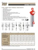 1T @ w/o Lift Heavy Duty VCH Series Chain Hoist   3850 0010