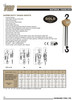 3T @ 10' Lift Super Duty VCHP Series Chain Hoist   3850 1030E