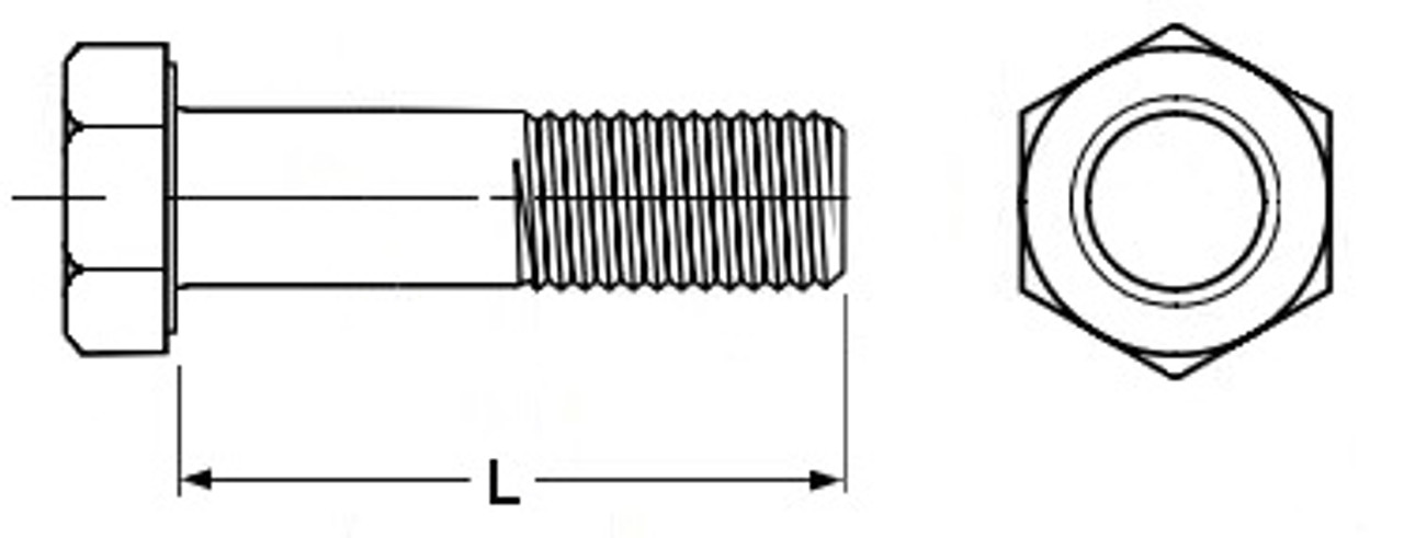 1/4"-20 UNC Hexagon Head Cap Screw - 316 Stainless  401002 - 401034