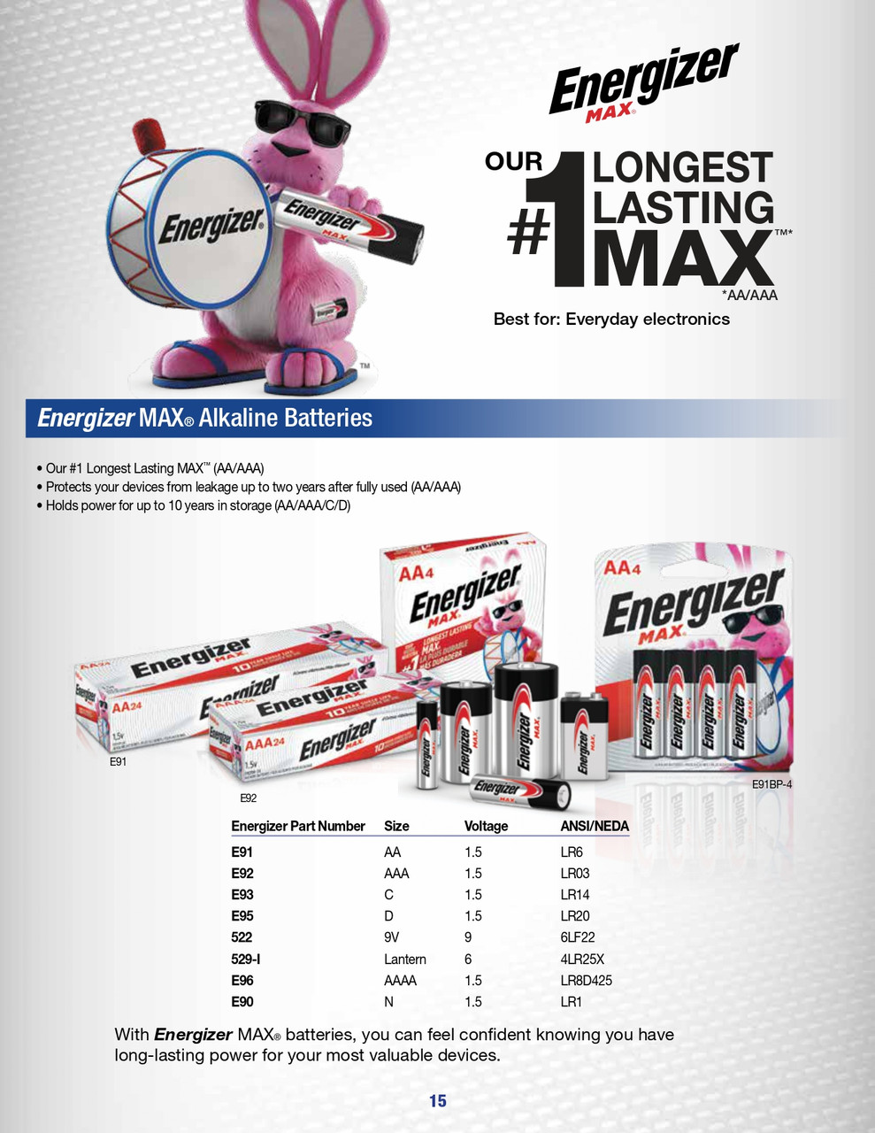 9V MAX® Alkaline Battery (2/pk)    522BP-2