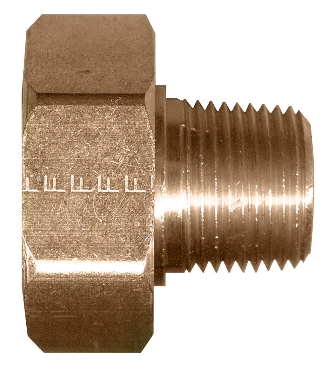 3/4"-11.5 x 1/4"  Brass Female Water Hose Swivel - Male NPT Connector  194-B