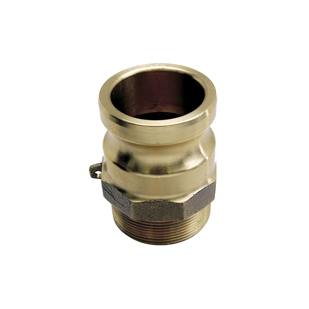 3/4" Brass Type F Male Camlock - Male NPT  G65BRF-075