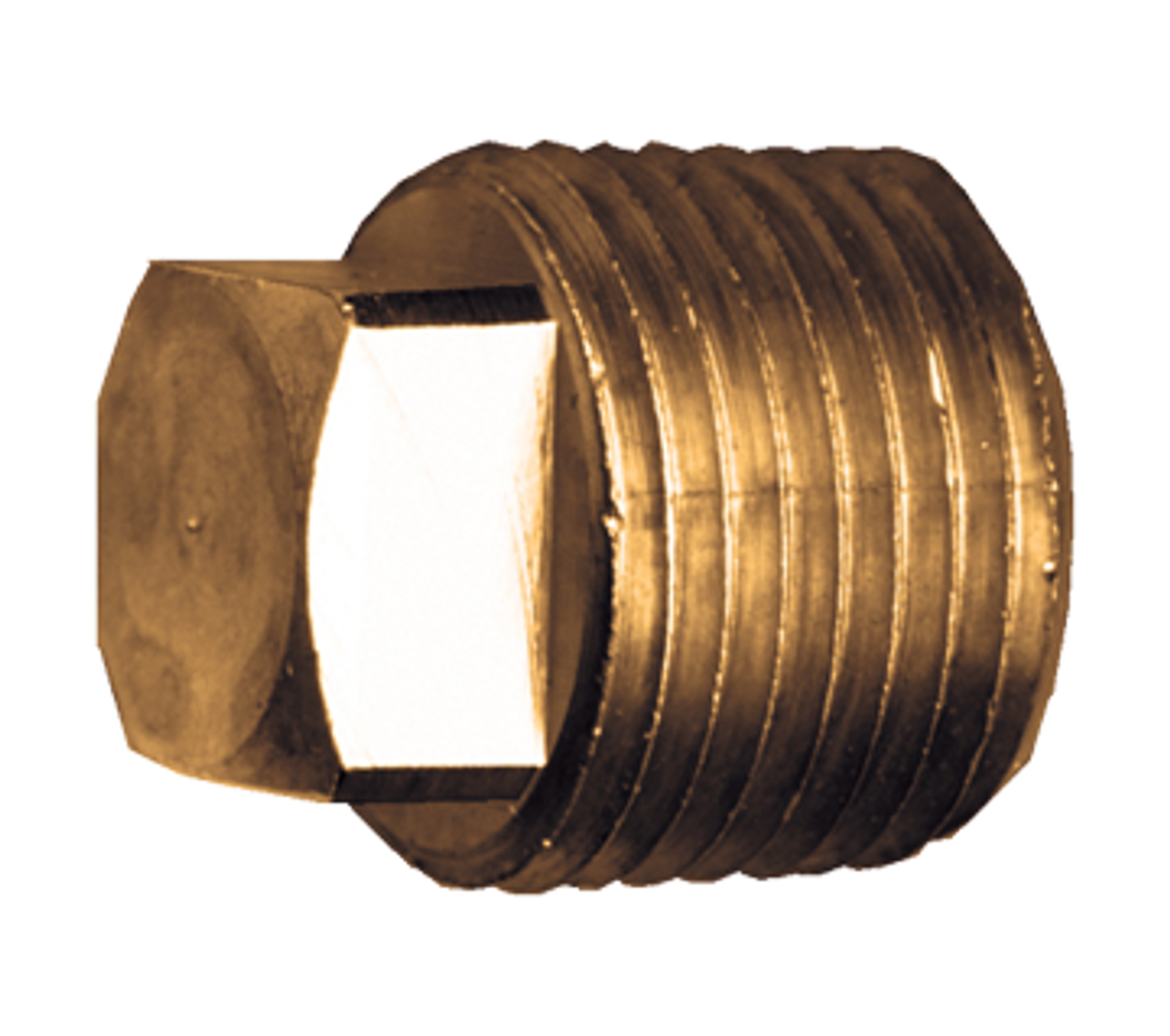 1/8" Brass Male NPT Square Head Plug  109-A