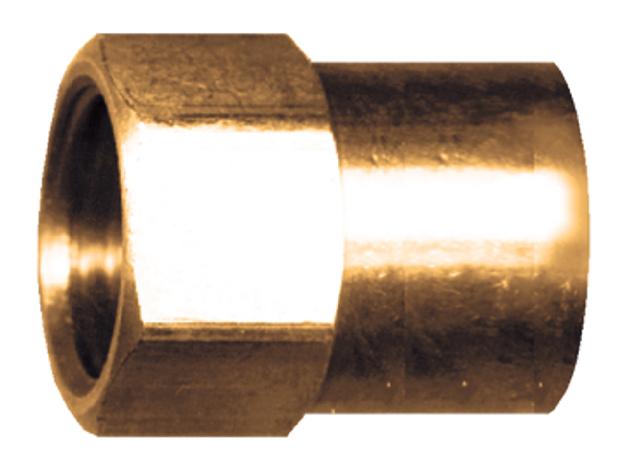 3/8 x 1/4" Brass Female 45° SAE Inverted Flare - Female NPT Connector  146-6B