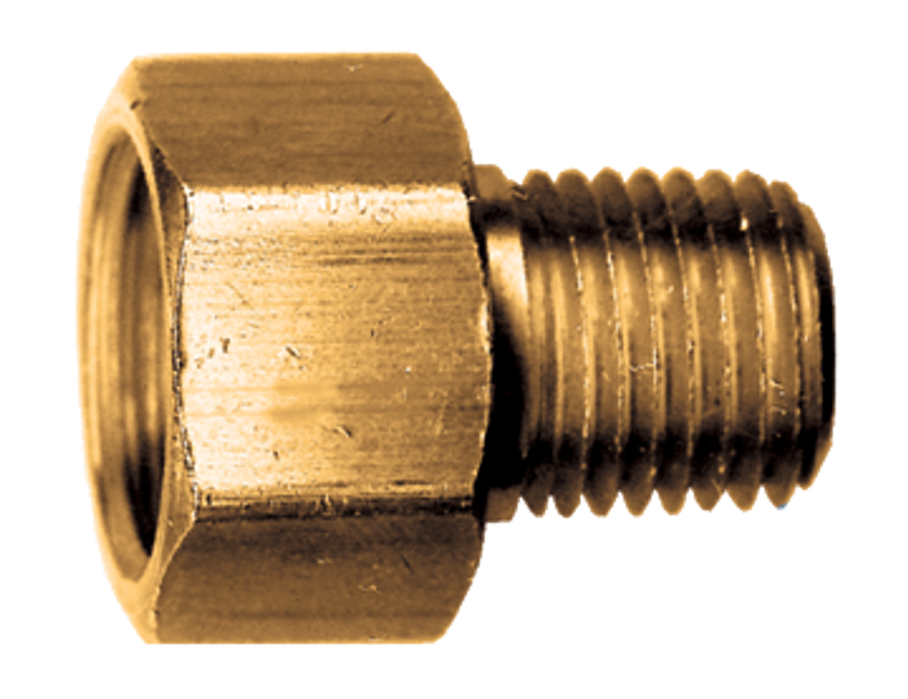1/8 x 1/8" Brass Female 45° SAE Inverted Flare - Male NPT Connector  148-2A