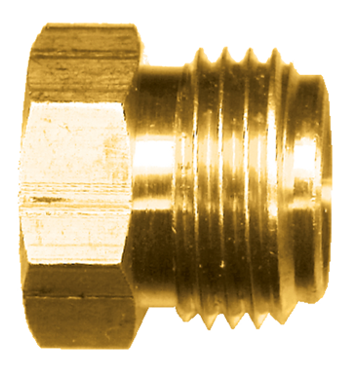 5/16" Brass 45° SAE Inverted Flare Sealing Plug  PL141-5