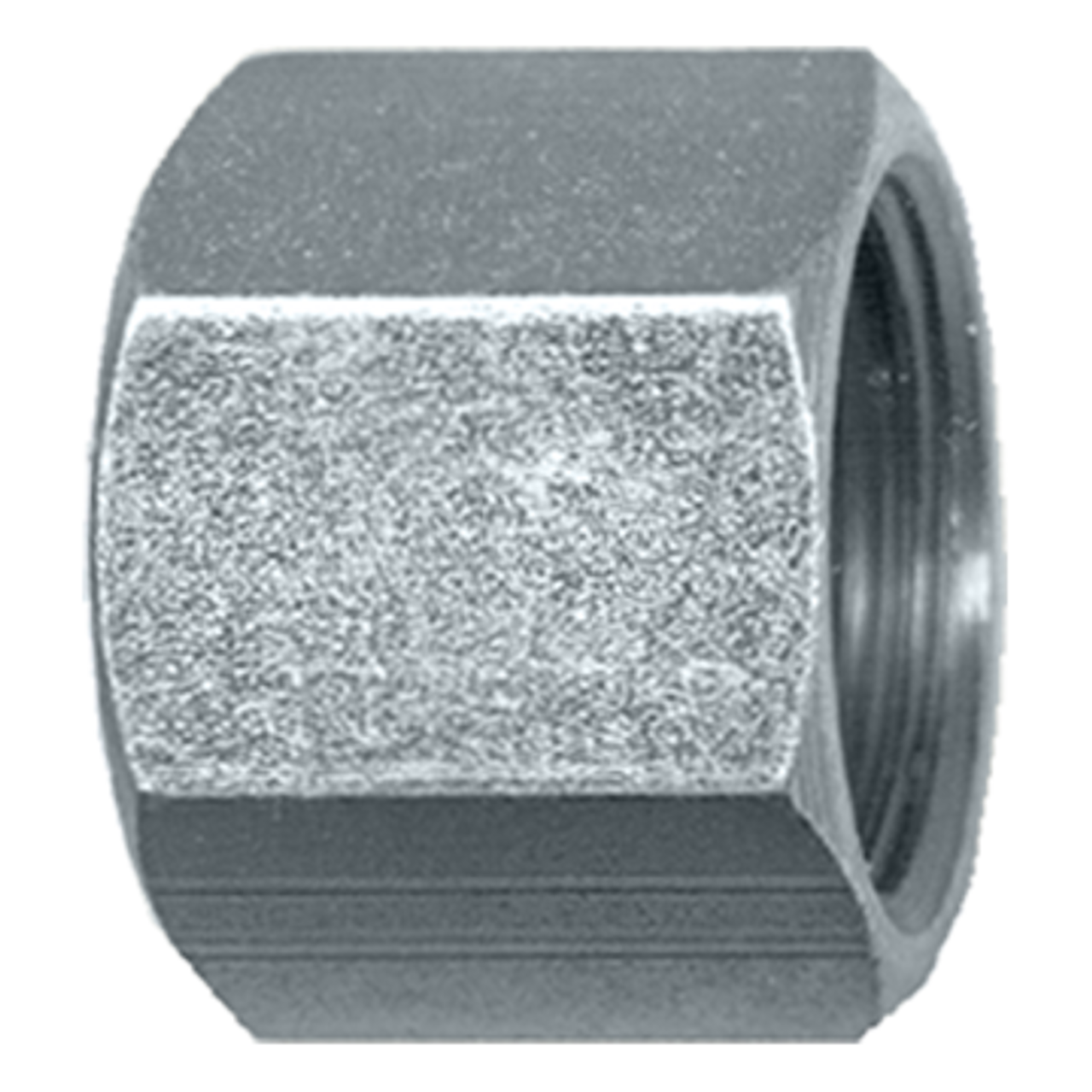 2" Steel Female 37° JIC Sealing Hex Cap  S3756-32