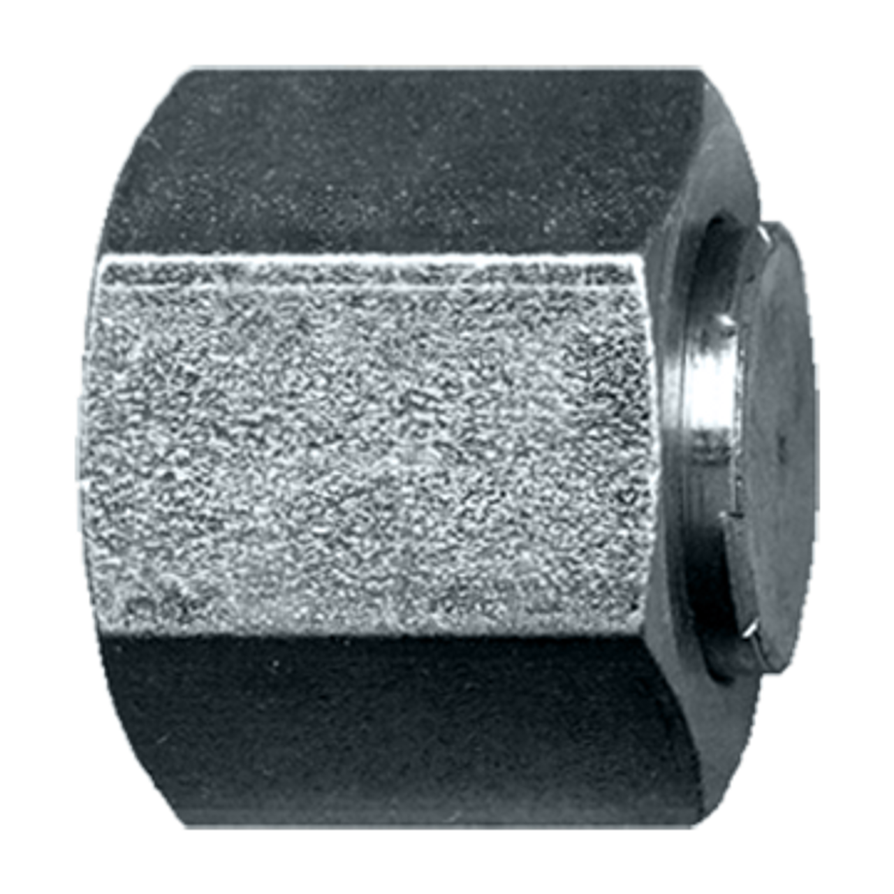 9/16"-18  Steel Female ORFS Hex Sealing Cap  S3956-4