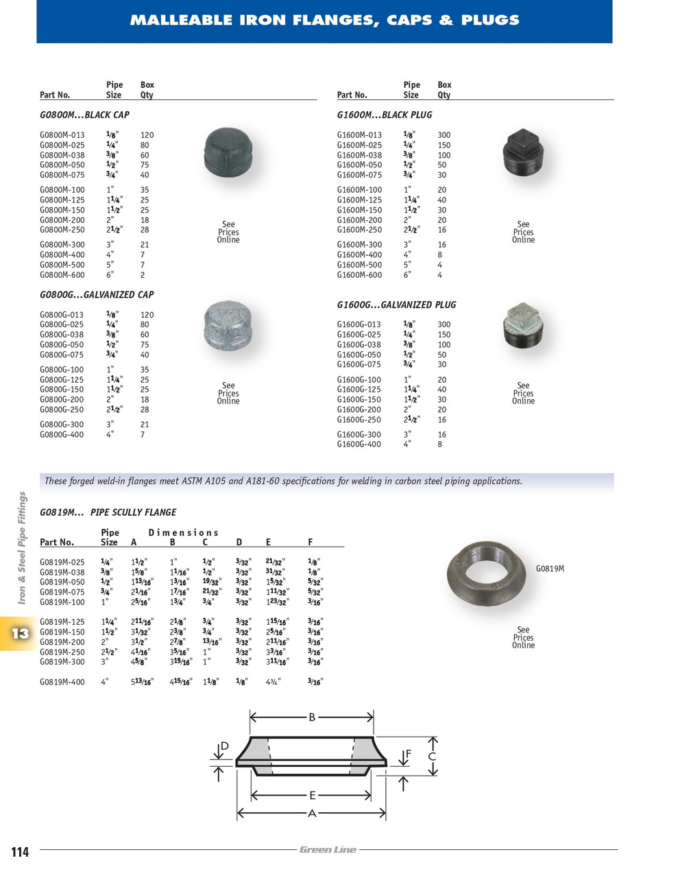 1" Sch. 40 Galvanized Iron Male NPT Plug   G1600G-100