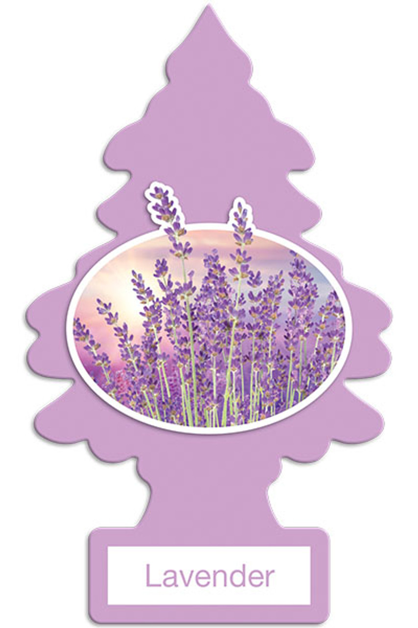 Little Tree® Regular Strength Lavender Air Freshener