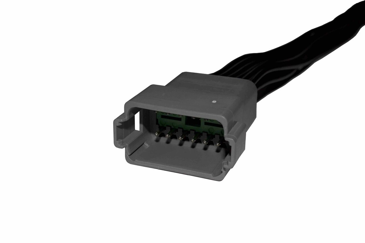 16 AWG 12-Way Deutsch "DT" Male Plug Pigtail  5799-11