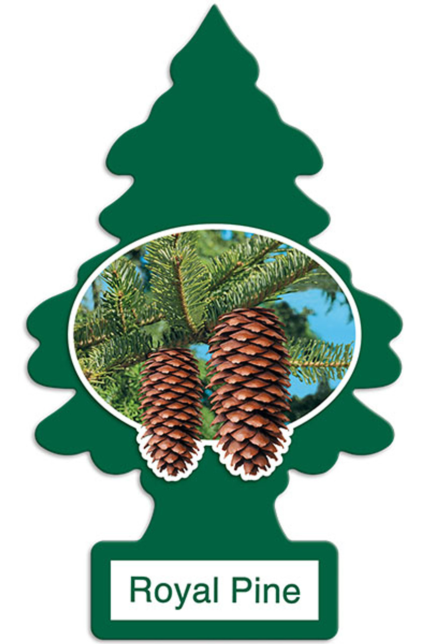 12 Pack - Regular Strength Royal Pine Air Freshener   U1P-10101