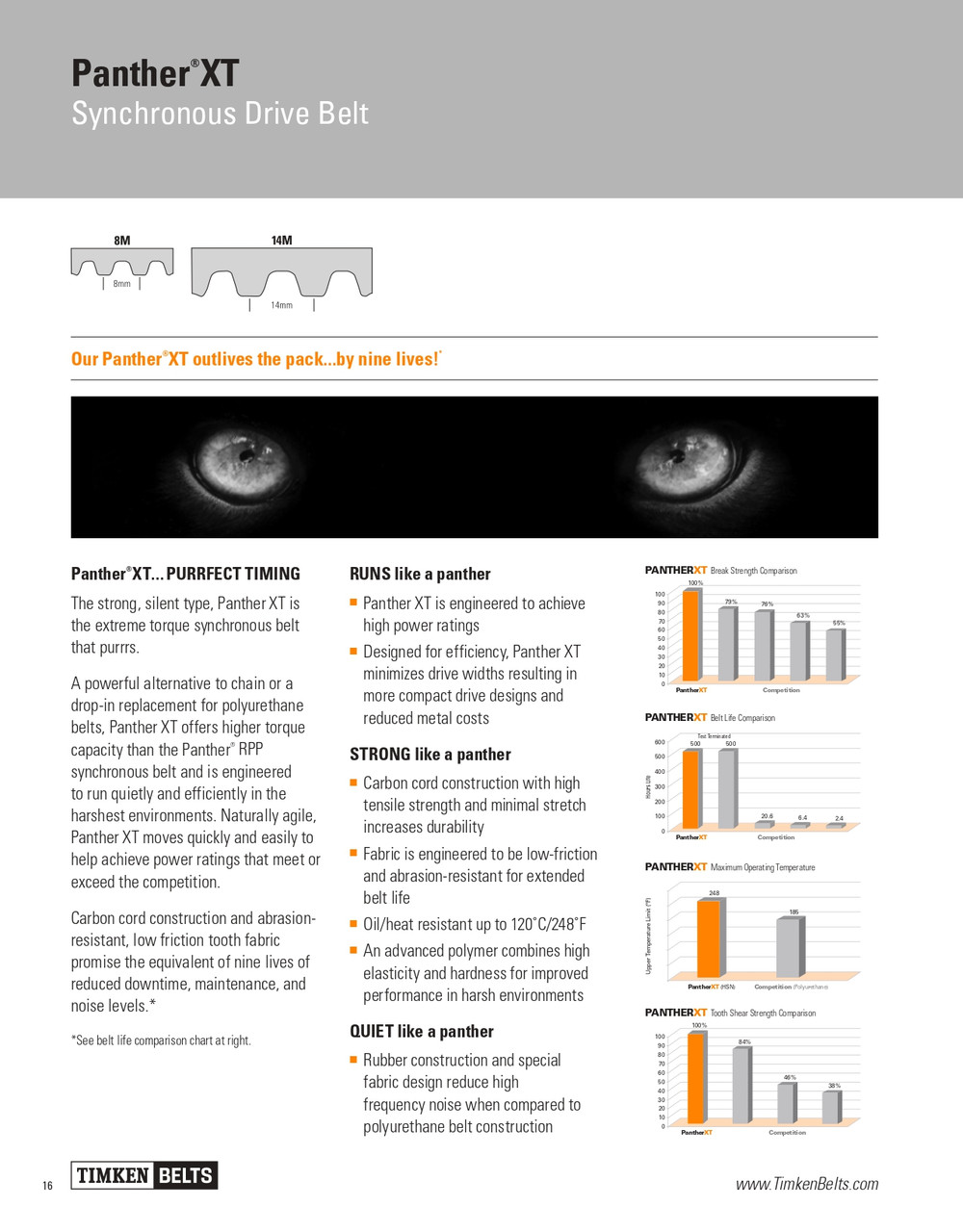 Panther® XT Synchronous Timing Belt   8MXT-4480-21