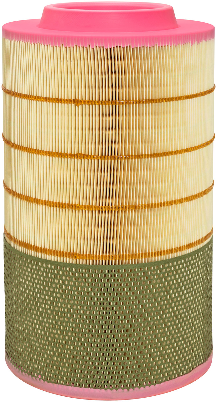 Radial Seal Air Element  RS4562