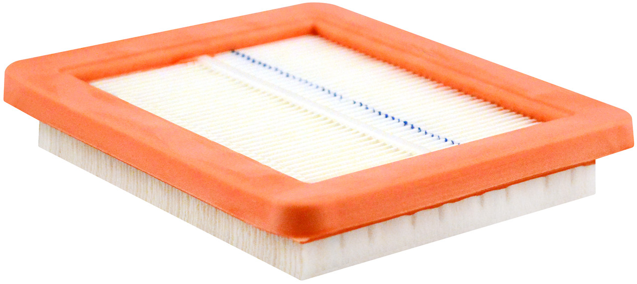 Panel Air Element  PA30055