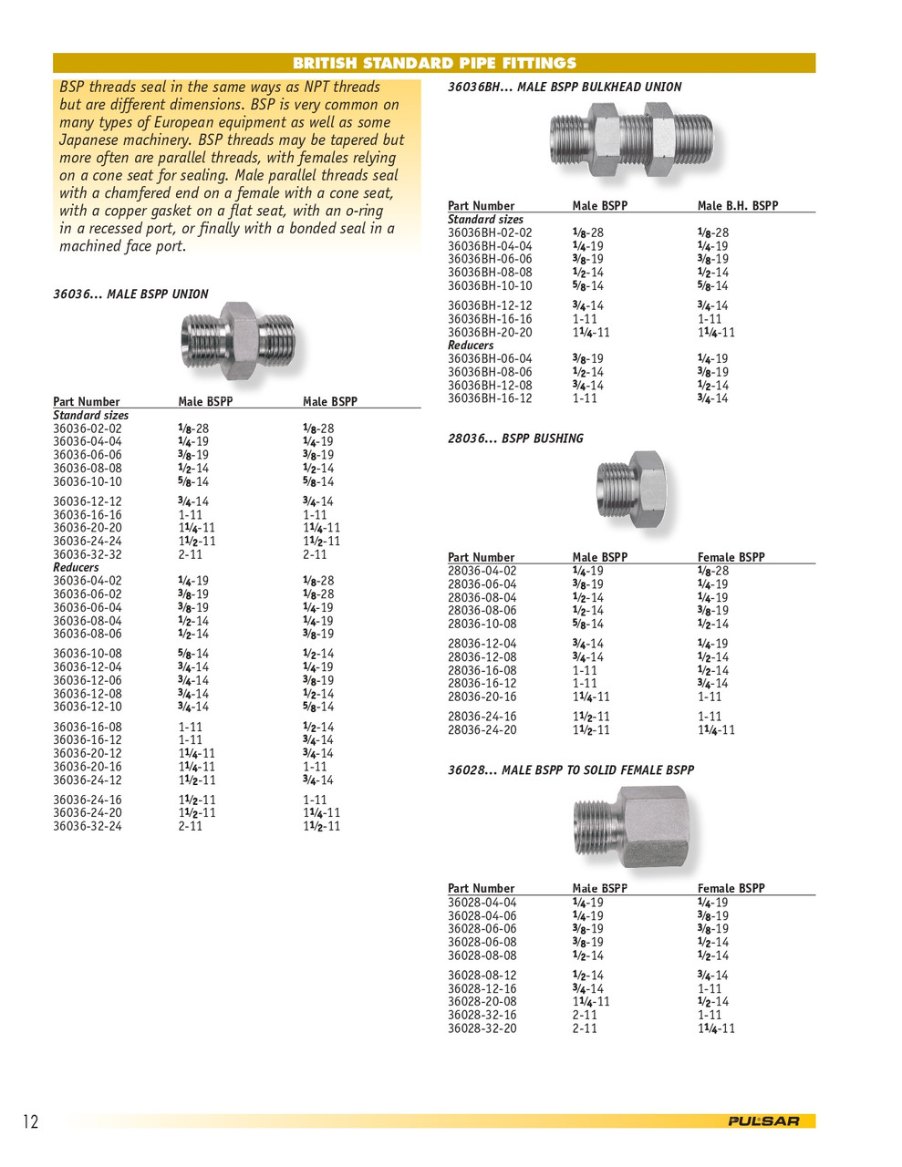 1/4 x 1/4" Steel Male BSPP - Male BSPP Bulkhead Union   36036BH-04-04
