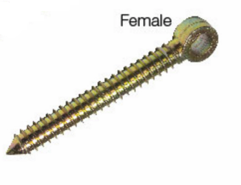5/8 x 5" Female Lag Screw Hinge Bolt  102549