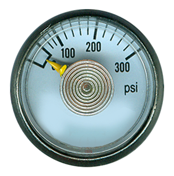 0-300 PSI  - 1-1/4" Dry - Stainless Case - Brass Center Back Mount - Pressure Gauge  PG-300CD125
