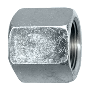 1/8" Steel Female NPT Hex Sealing Cap  S1008-A
