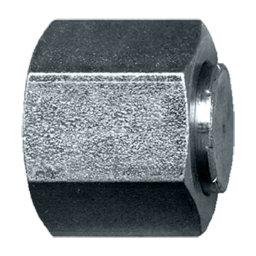 1"-14  Steel Female ORFS Hex Sealing Cap  S3956-10