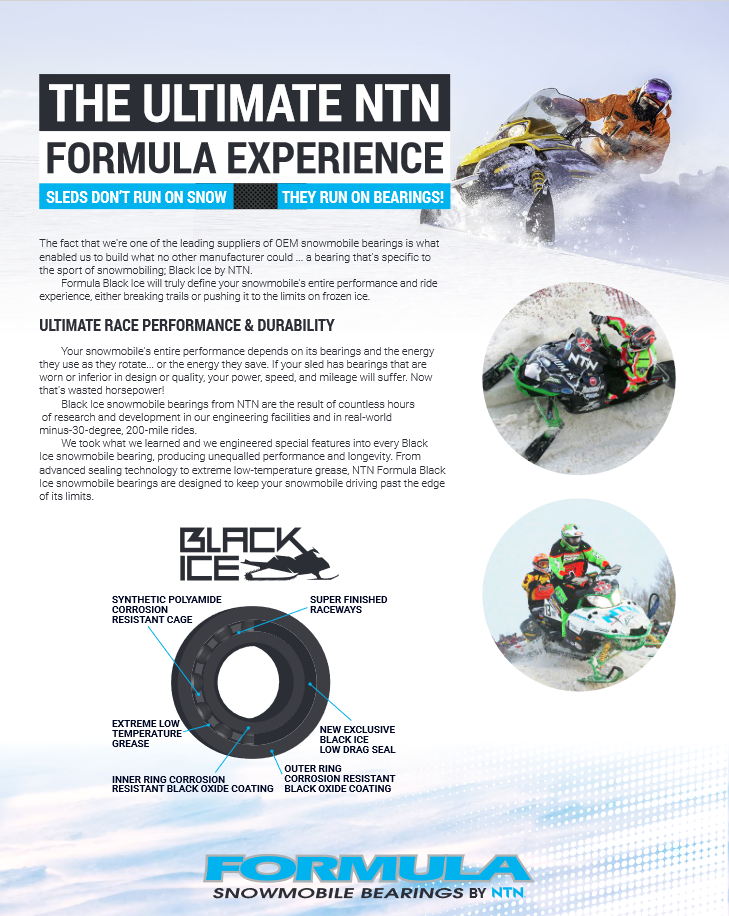 Low Temperature Snowmobile Radial Ball Bearing  FORMULA6205-4PK