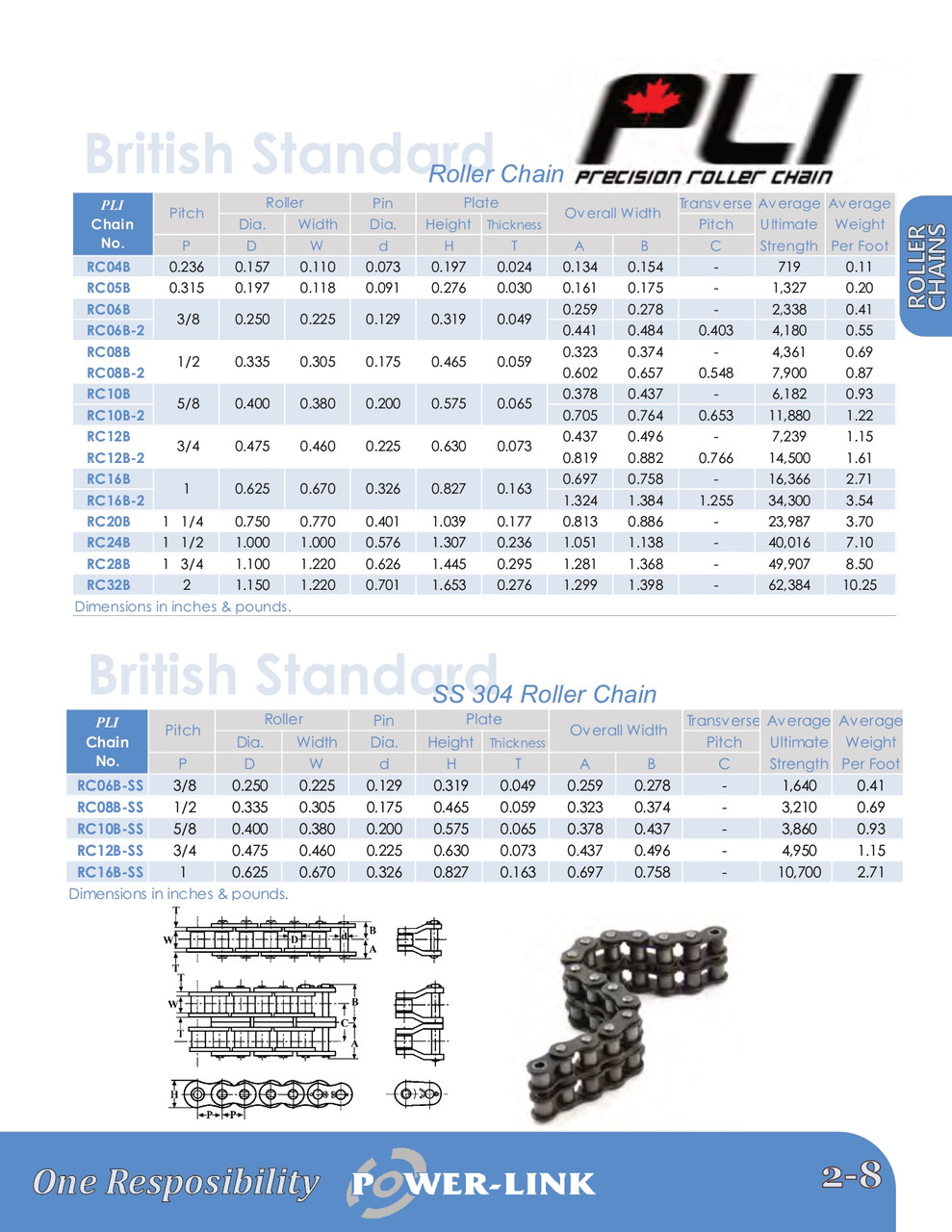 British Standard Roller Chain - 10' Box  RC20B