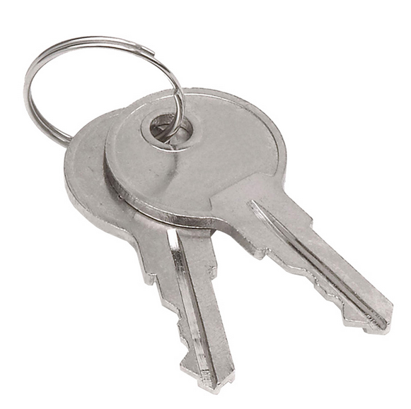 Replacement "Monitor 2000" Germicidal Eye Wear Cabinet Door Lock Keys (fits Sellstrom® S90494)  S90479